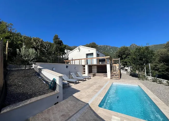 Petite Cocooning * Sisco